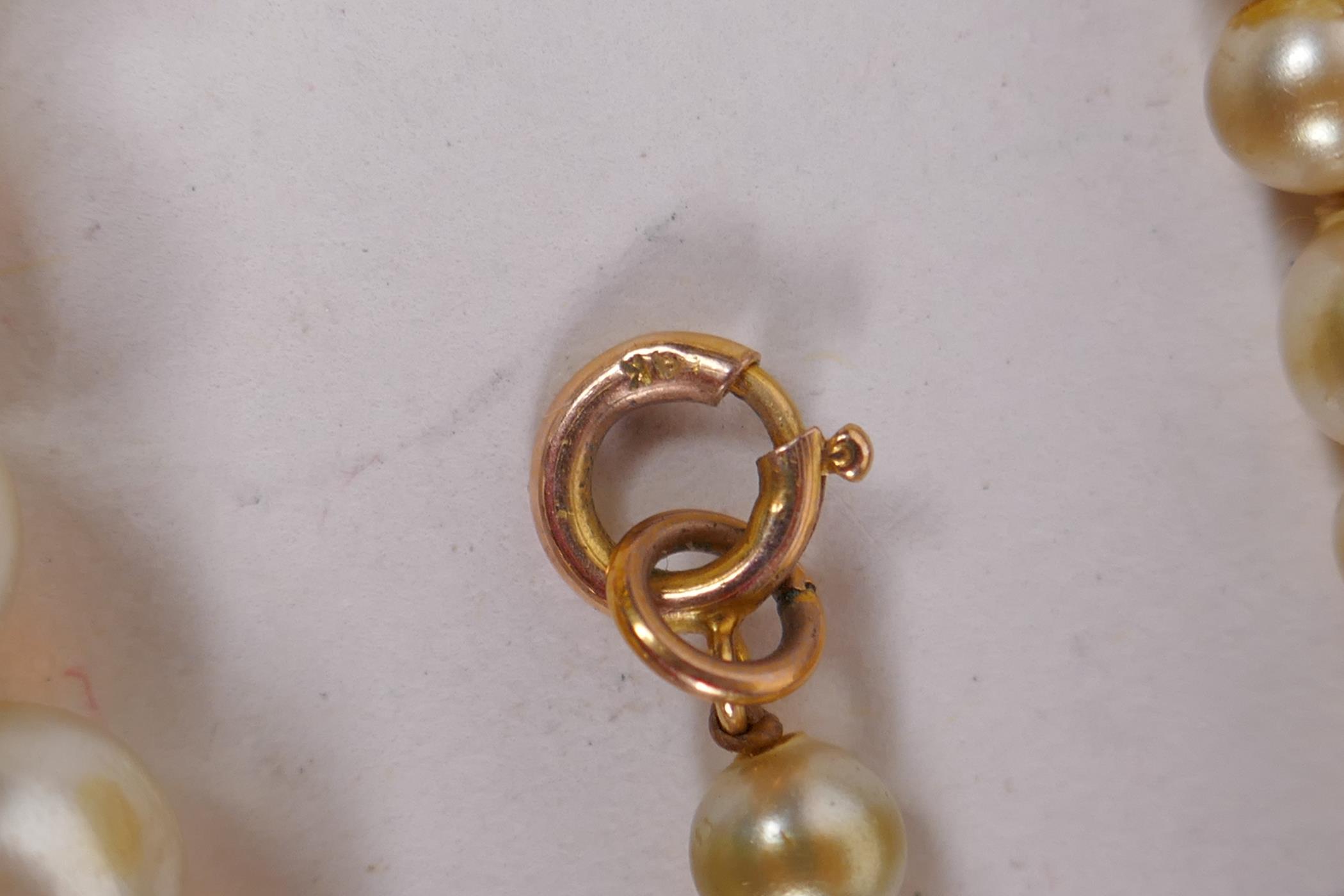 A string of graduated pearls with 9ct gold clasp, 50cm long - Image 3 of 3