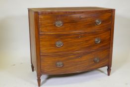 A C19th mahogany Sheraton style bow front chest of three long drawers with brass plate handles,