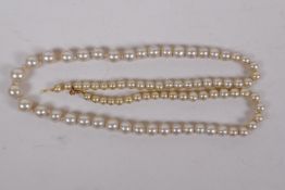 A string of graduated pearls with 9ct gold clasp, 50cm long