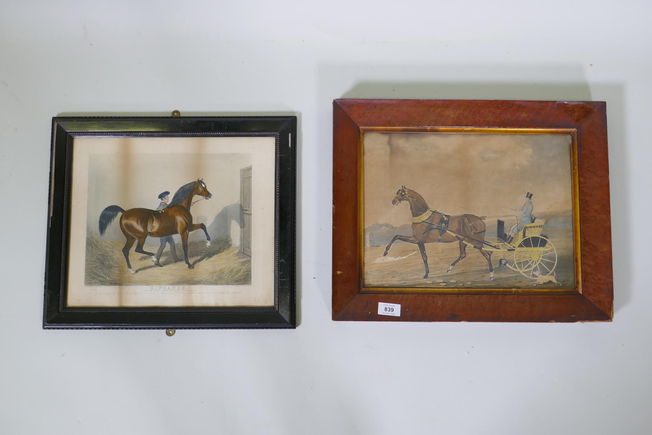 C19th hand coloured lithograph, gentleman with bay horse and gig, in a bird's eye maple frame, 38 - Image 5 of 7