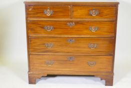 A C19th mahogany chest of two over three drawers, with reeded top and brass fret handles, raised