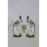 A pair of porcelain parrot candlesticks, with brass sconces and bases, 41cm high