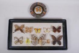 A framed butterfly collection, and a copper souvenir ashtray containing a butterfly, 48 x 25cm