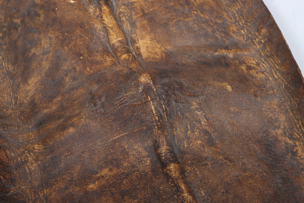 Very Large Hippo Hide Shield of the Nuer and Shilluk Tribes from the Upper Nile Region of Sudan - Image 3 of 9