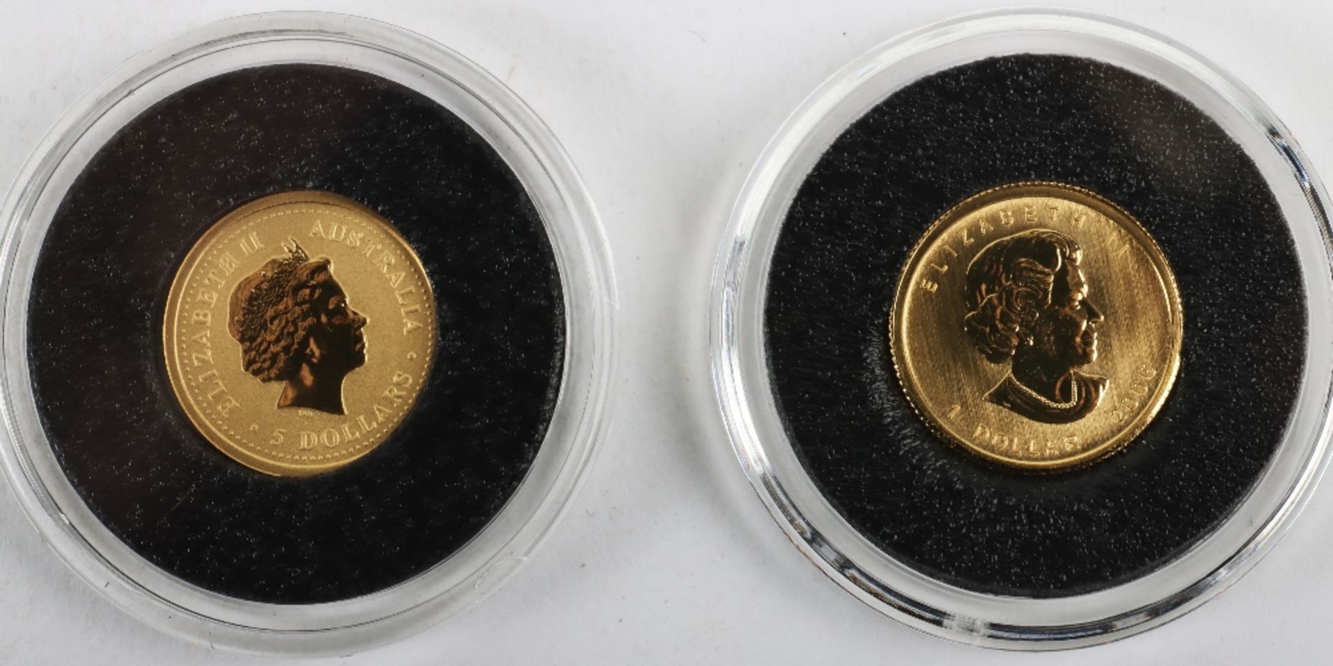 Two 1/20th oz fine gold coins