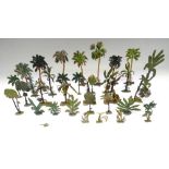 Heyde and other Tropical Palms and other Flora