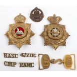Grouping of British Military Badges