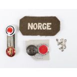 WW2 Free Norwegian Forces Badges and Insignia