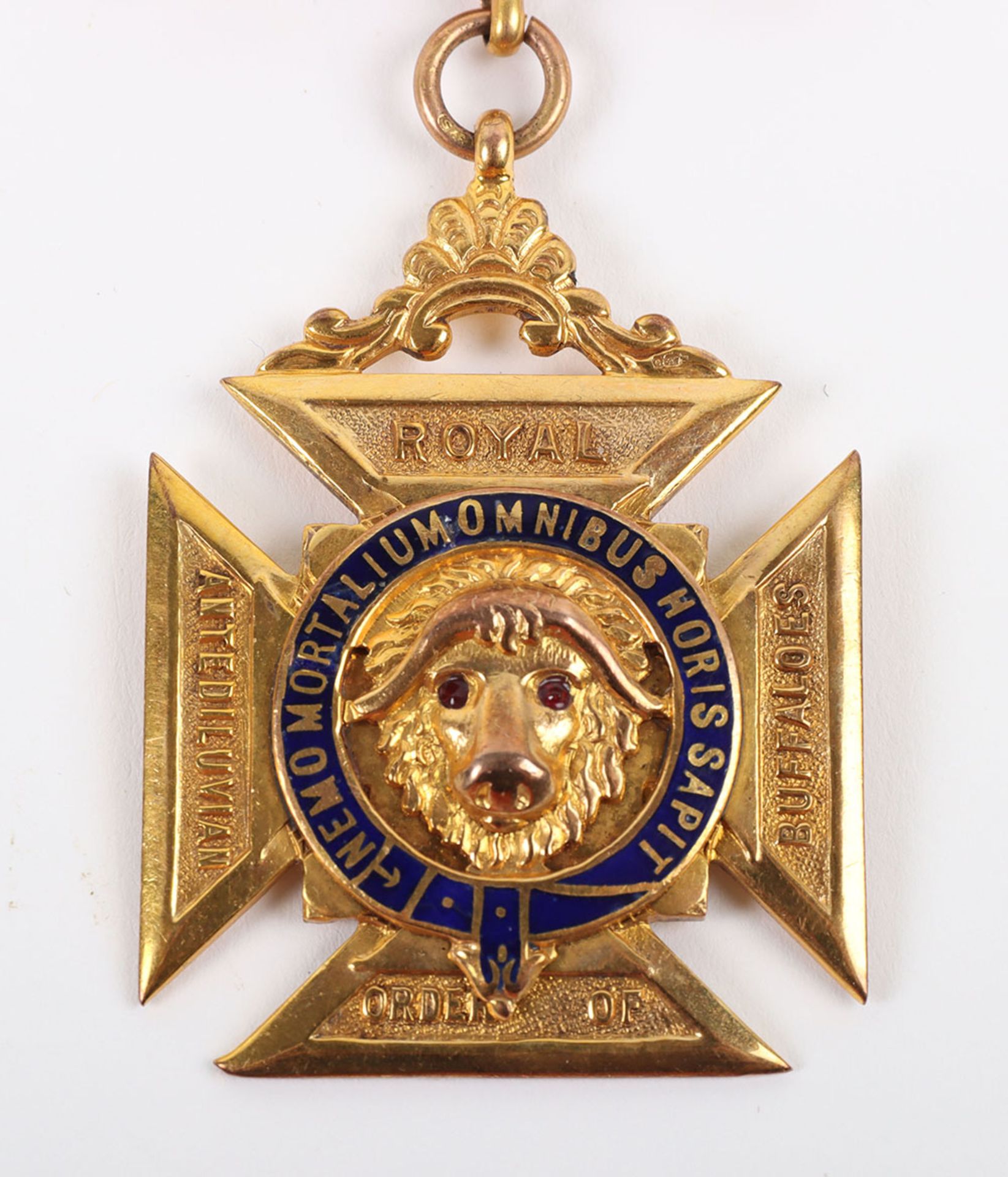 A 9ct gold Masonic Order of the Buffalo medal - Image 7 of 12