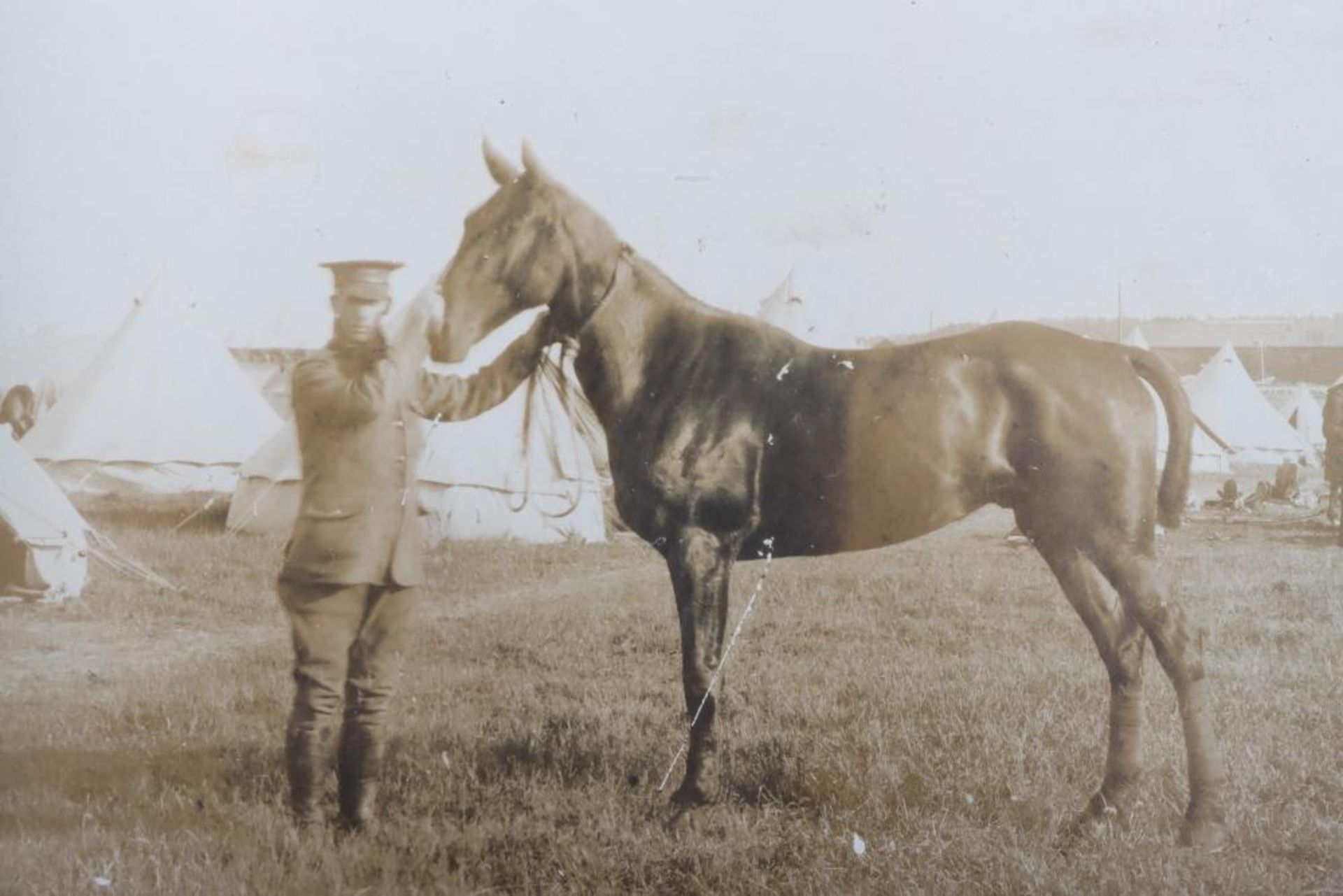 Grouping of WW1 Postcard Photographs - Bild 4 aus 5