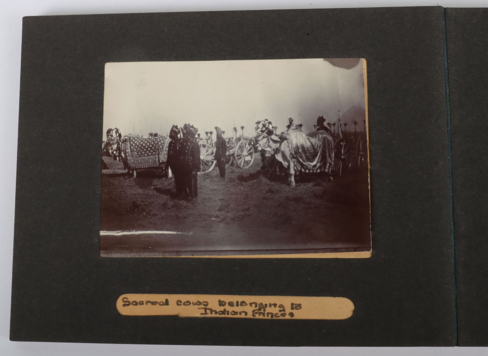 Photograph Album with images of ther Delhi Durbar, troops lining streets, Elephants, sacred cows bel - Image 43 of 48