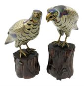 Pair of early 20th century Chinese cloisonn� falcons