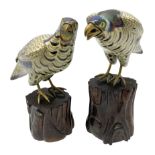 Pair of early 20th century Chinese cloisonn� falcons