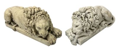 Two early 20th century reconstituted stone Grand Tour or Chatsworth House type lions after Antonio C