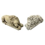 Two early 20th century reconstituted stone Grand Tour or Chatsworth House type lions after Antonio C