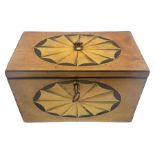 George III Sheraton style sycamore tea caddy