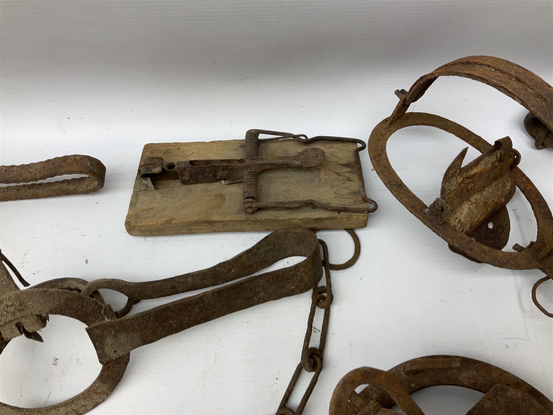 Quantity of animal traps including - Image 6 of 9