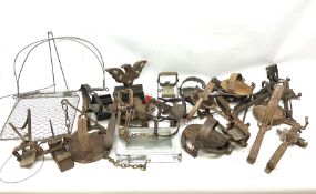 Quantity of animal traps including inset battery powered lark lure