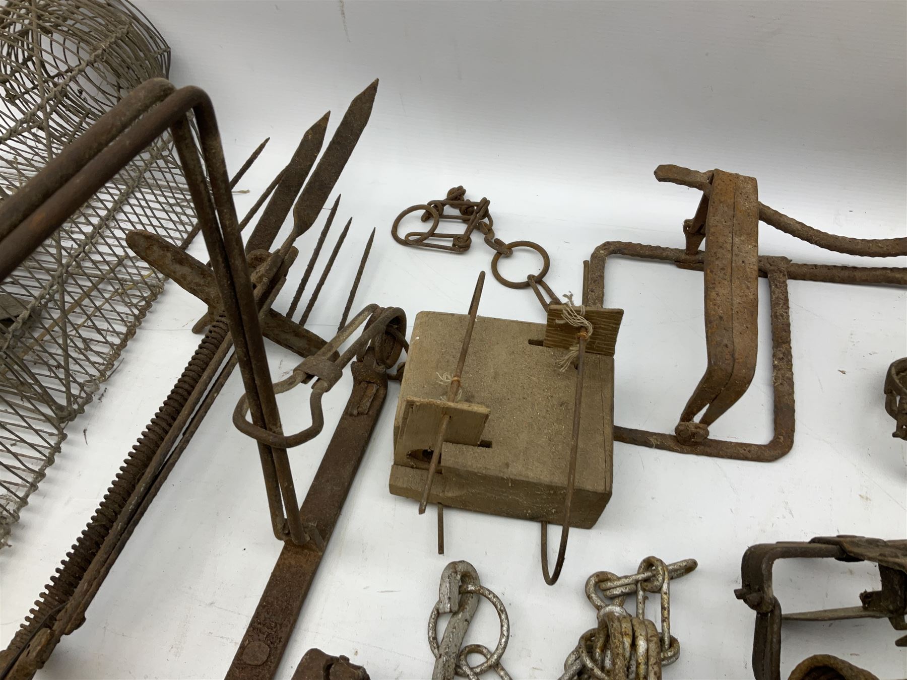 Quantity of animal traps including - Image 4 of 9