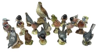 Twenty Beswick figures of birds to include Thrush no.2308