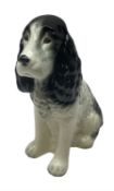 Sylvac fire-side figure of a black and white glazed spaniel dog No.1462 H28cm