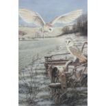 Robert E Fuller (British 1972-): 'Barn Owls at Thixendale'