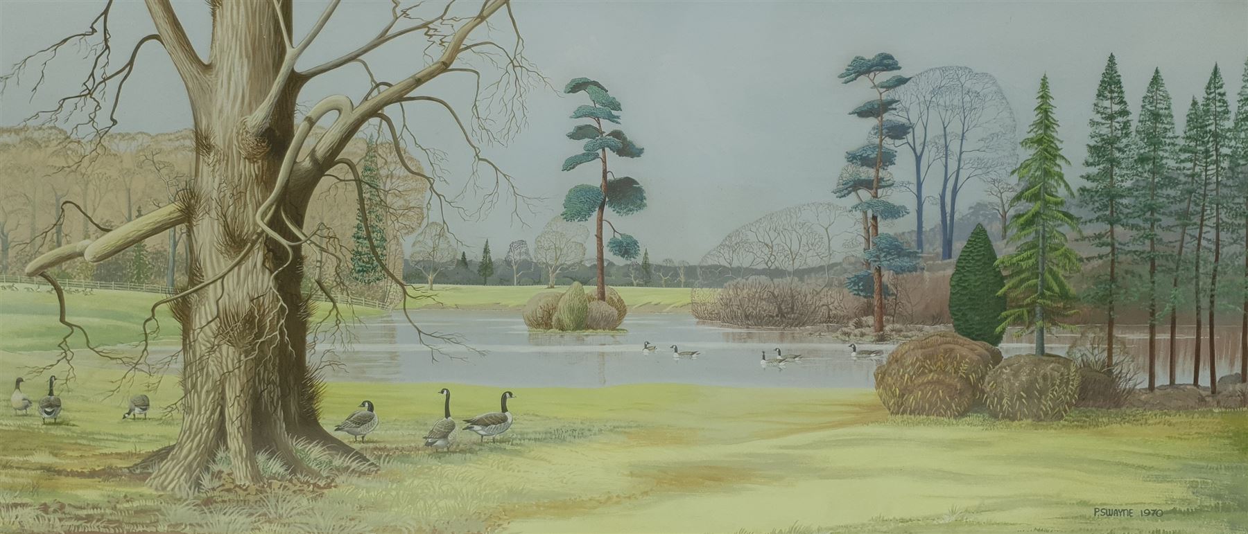 P Swayne (British 20th century): Geese in a River Landscape