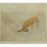 George Vernon Stokes (British 1873-1954): Golden Retriever and Mallard