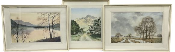 Norman Jackson (British 20th century): Sunset Lake Landscape and Flatland Landscape with Hilly Scene