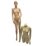 Full body mannequin (H175cm)