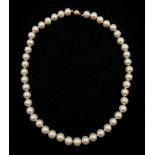 Single strand ivory/pink cultured pearl necklace