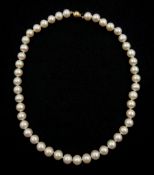Single strand ivory/pink cultured pearl necklace