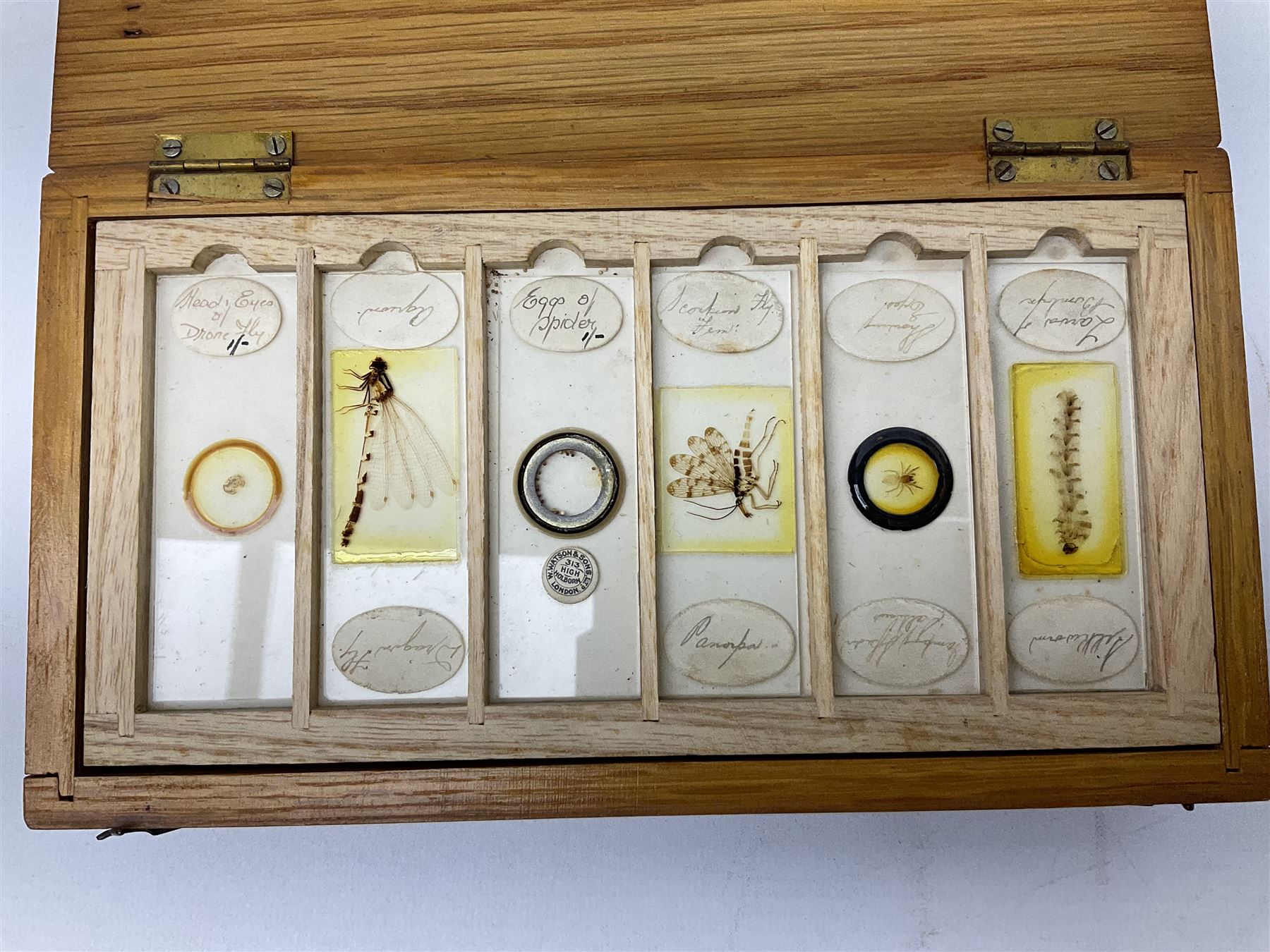 Milbro microscope in a wooden case - Image 3 of 12