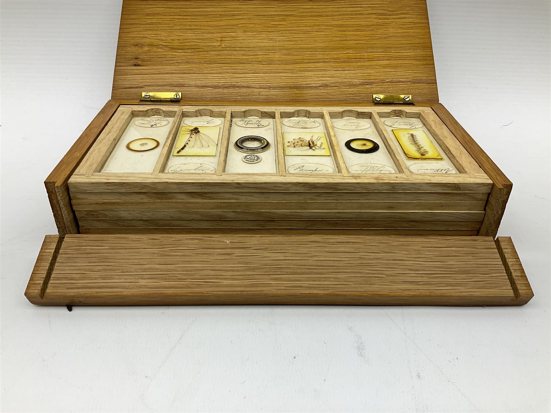 Milbro microscope in a wooden case - Image 5 of 12