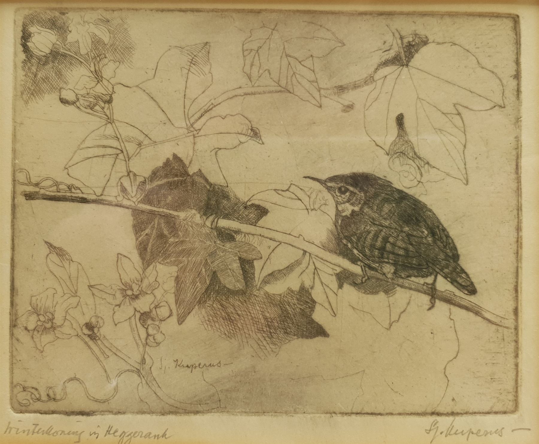 Sjoerd Kuperus (Dutch 1893-1988): Bird Studies - Image 4 of 4