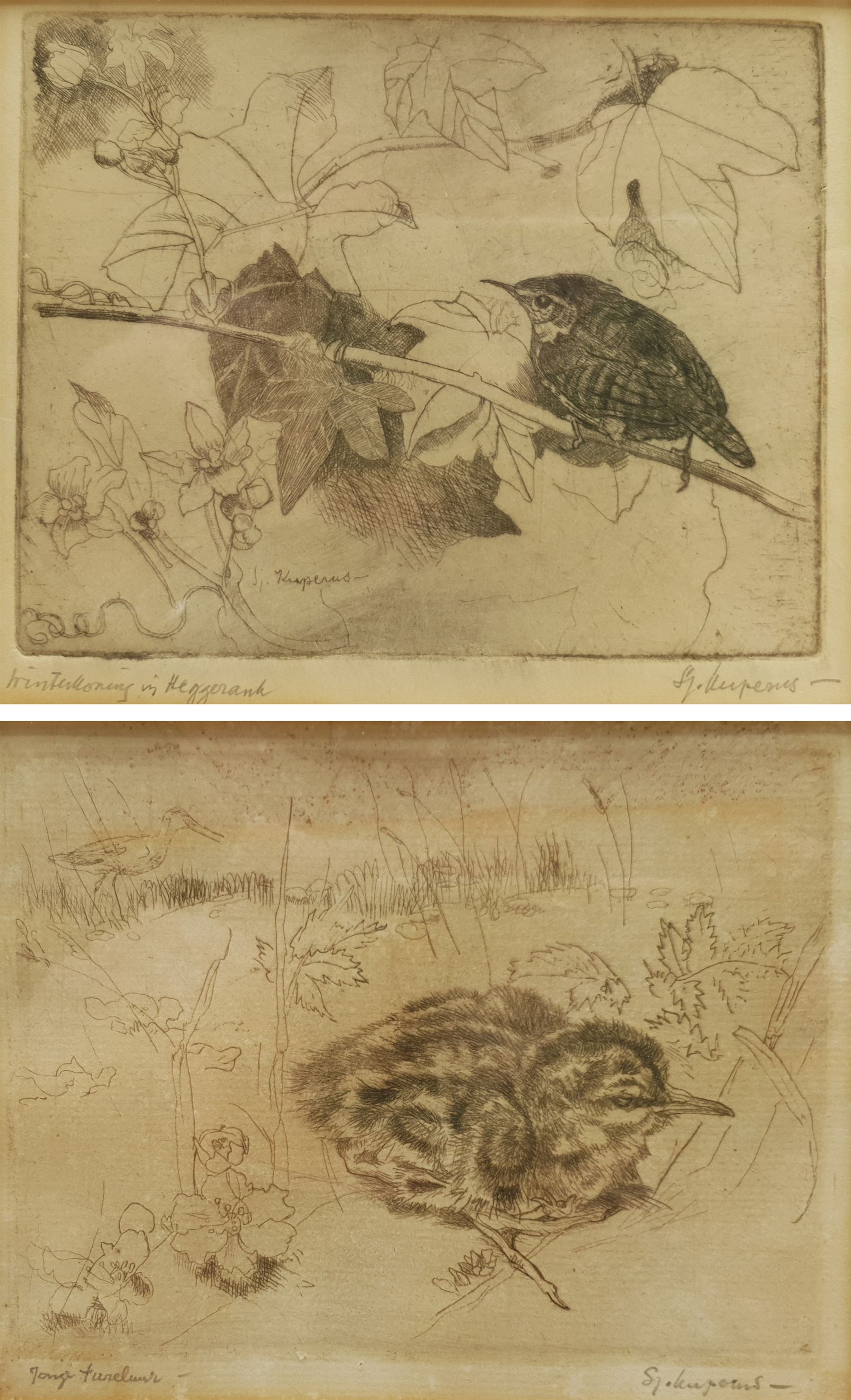 Sjoerd Kuperus (Dutch 1893-1988): Bird Studies