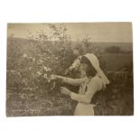 Frank Meadow Sutcliffe (British 1853-1941): 'Wild Roses'