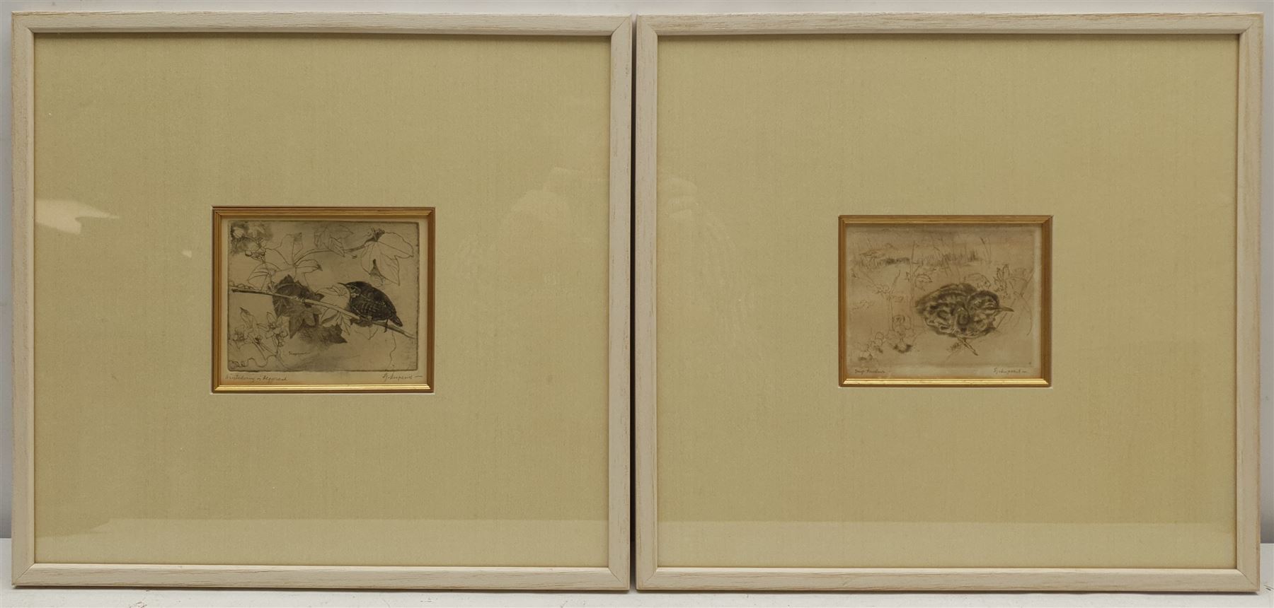 Sjoerd Kuperus (Dutch 1893-1988): Bird Studies - Image 2 of 4