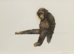 Mark Irving (Northern British Contemporary): Chimpanzee