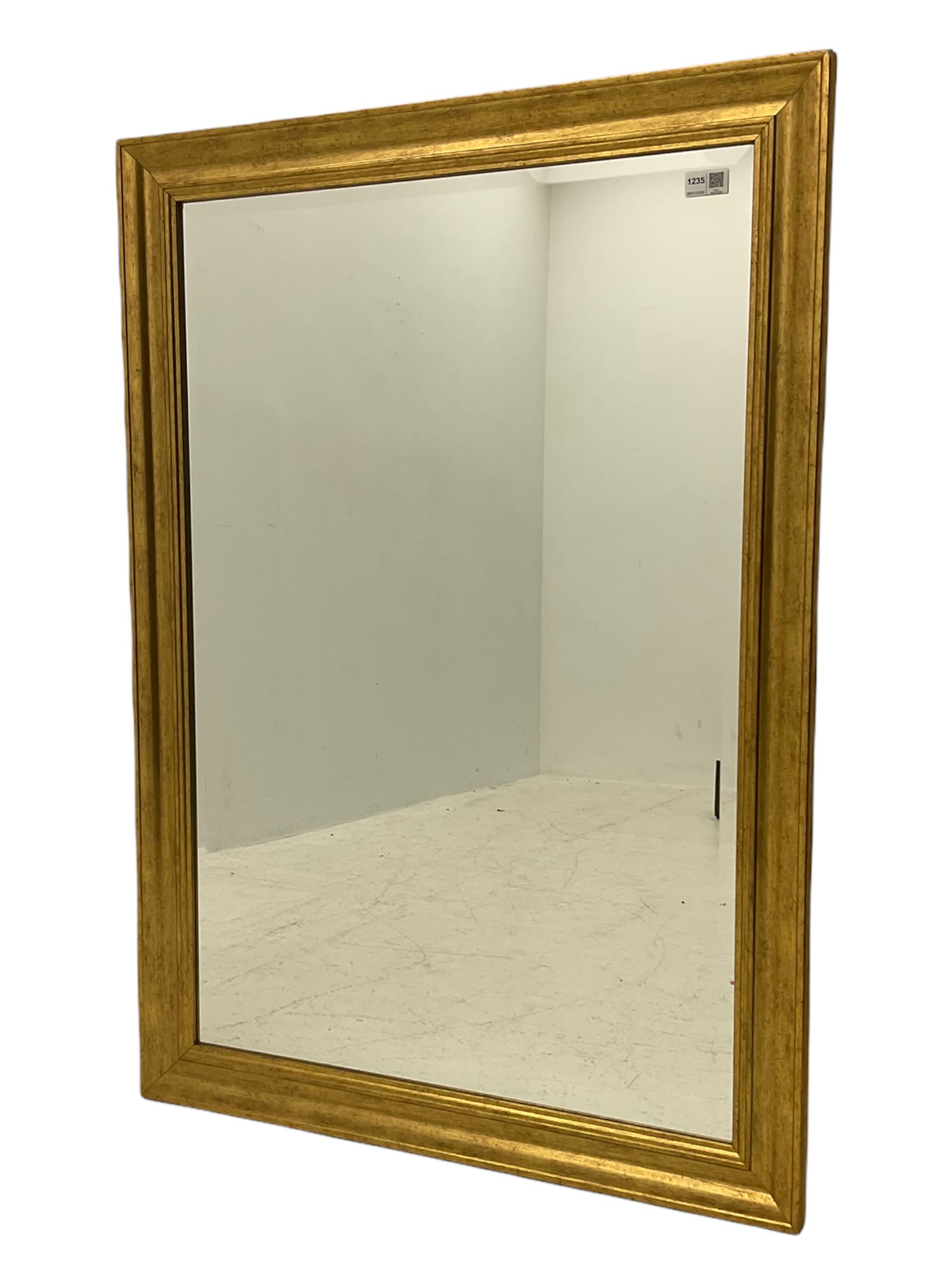 Bevelled mirror in moulded gilt frame