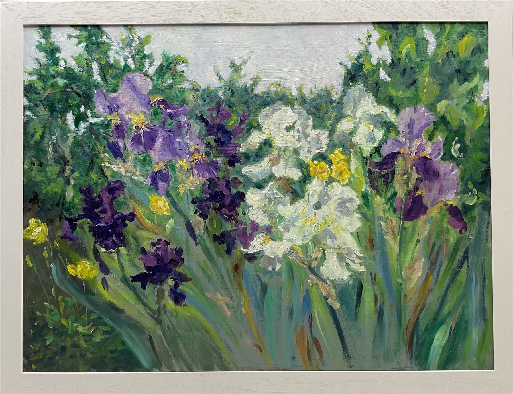 Catherine Tyler (British 1949-): Garden Irises - Image 2 of 4