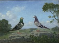 Walter Goodin (British 1907-1992): Study of two Champion Racing Pigeons in Landscape setting