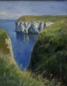 Neil Tyler (British 1945-): Flamborough Head