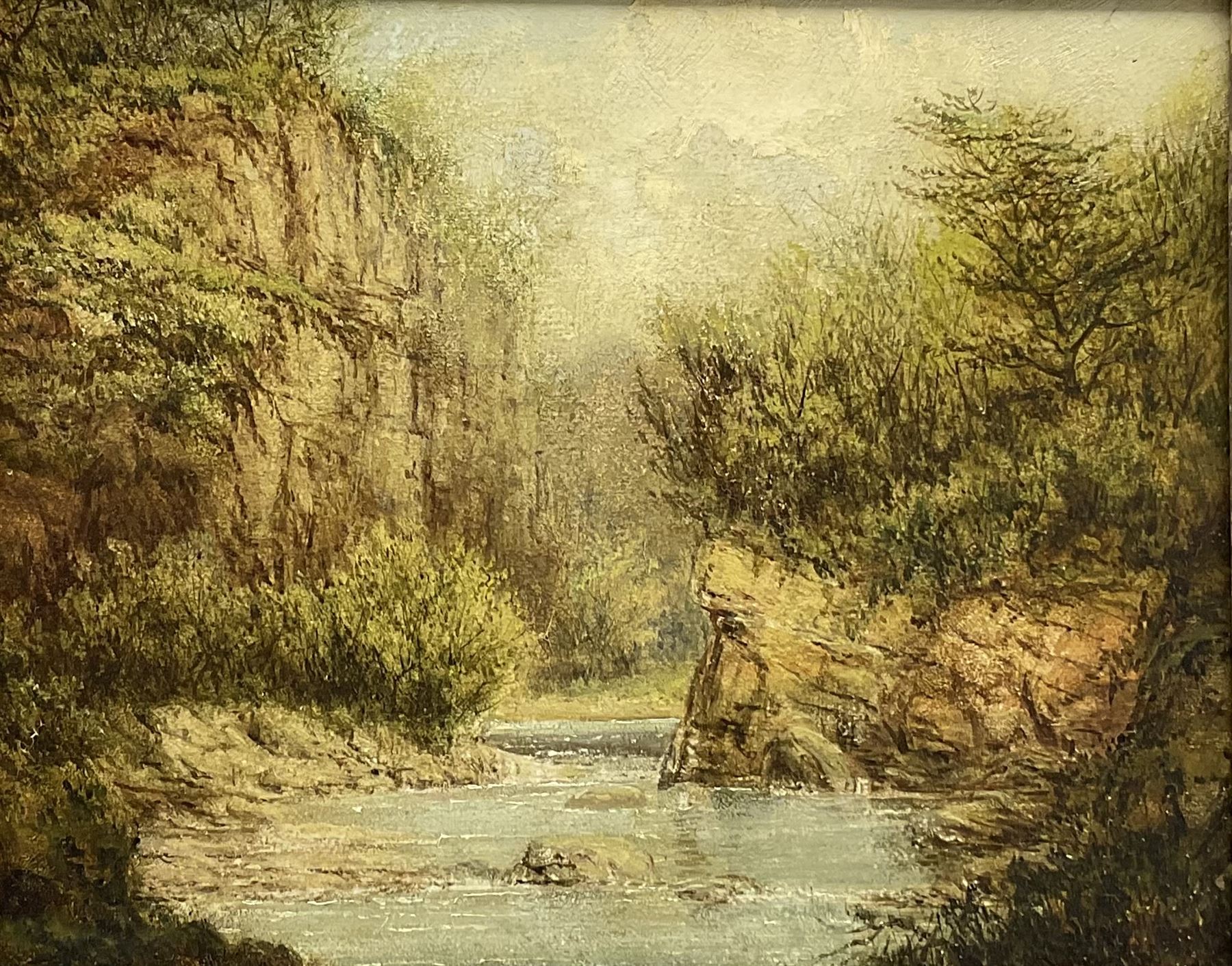 English School (19th century): River Gorge 'Allandale' Northumberland