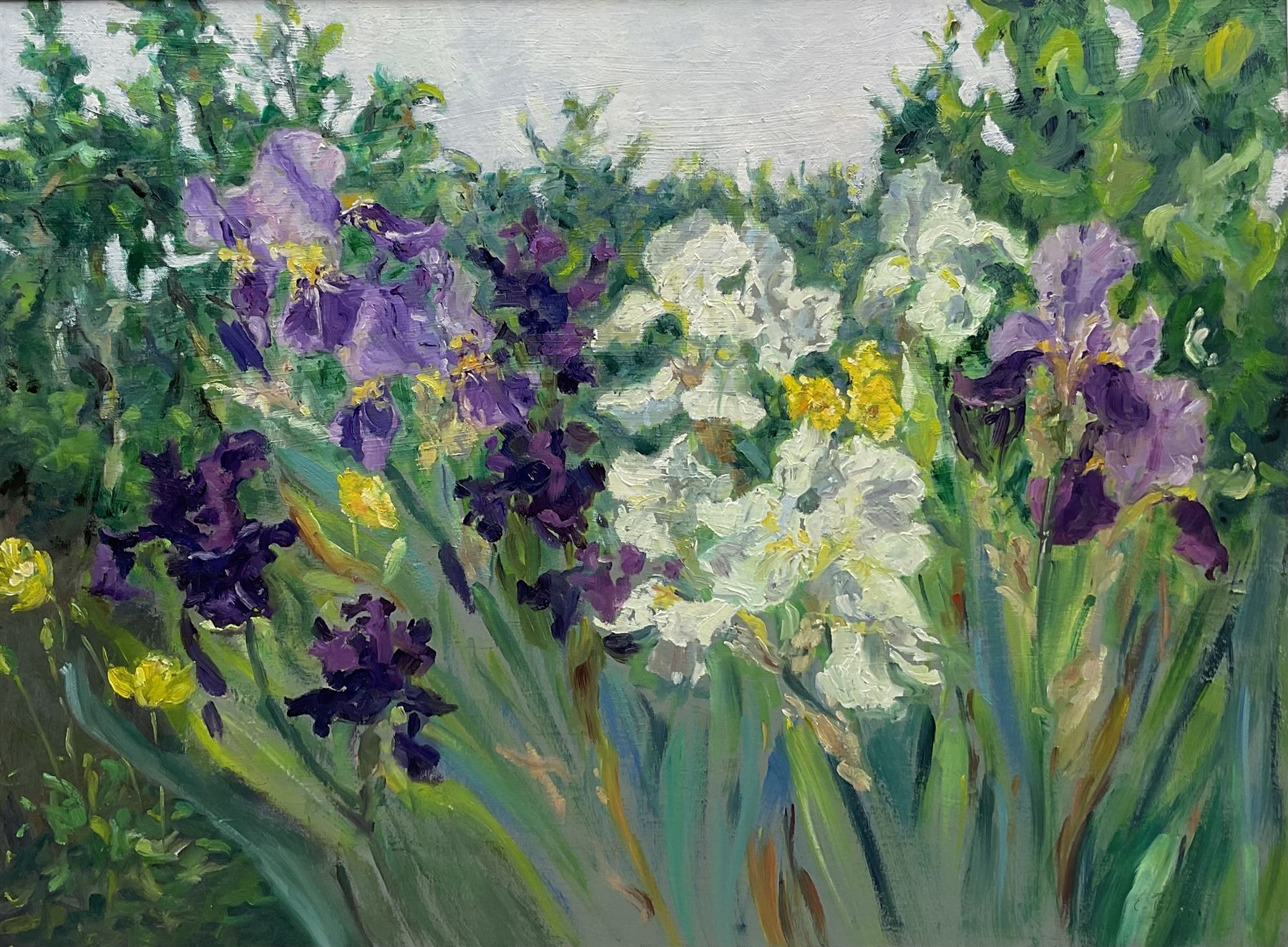 Catherine Tyler (British 1949-): Garden Irises