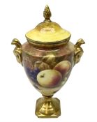 Coalport vase and cover with twin gilt rams head handles