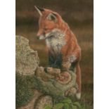 Robert E Fuller (British 1972-): Red Fox on Tree Stump