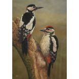 Robert E Fuller (British 1972-): Male and Female Great Spotted Woodpecker