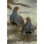 Robert E Fuller (British 1972-): Grey Partridges in Snow