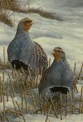 Robert E Fuller (British 1972-): Grey Partridges in Snow